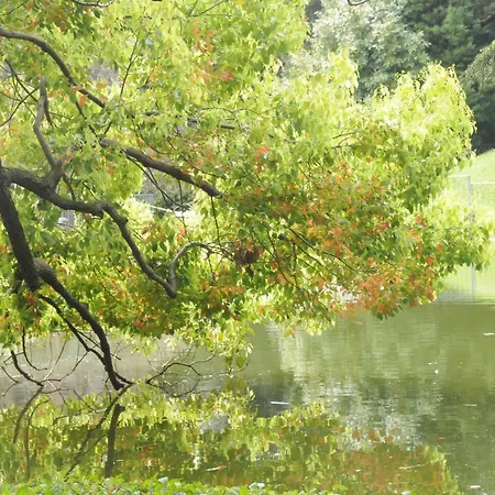 Wide 제노바